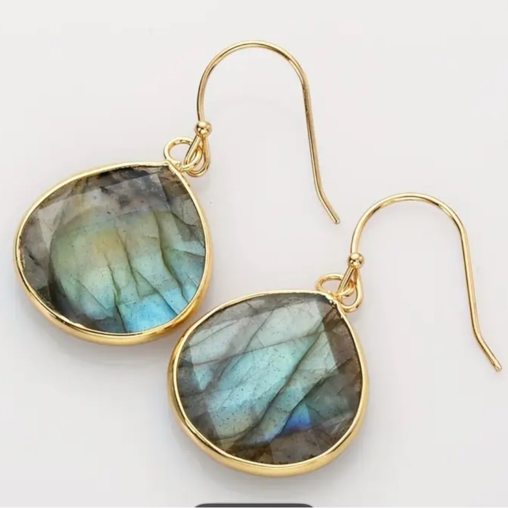 Labradorite or Moonstone Faceted Drop Earrings Gold or Silver